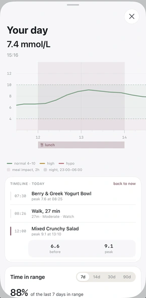Your day: glucose through the day with lunch marked on the timeline
